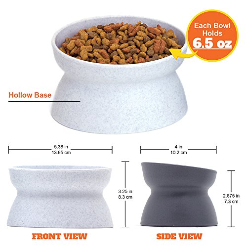 Kitty City Raised Cat Food Bowl Collection, Stress Free Pet Feeder and Waterer - //medicalbooks.filipinodoctors.org