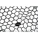 Fishpond: Nomad Replacement Rubber Net, 19