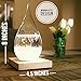 Empyrean Decorative Storm Glass - Water Drop Weather Predictor Creative Forecast Bottle Barometer Weather Glass - 17th Century European Meteorological Stylish Display Large Home Glass Crafts (Large)