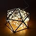 Oak Leaf 60-LED Fairy Lights,6-Pack Battery Operated String Lights,Warm White,9.8ft