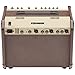 Fishman PRO-LBX-600 Loudbox Artist Acoustic Guitar Amp w/Amp Stand, Microphone w