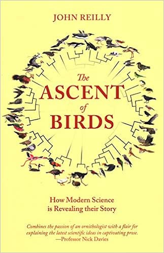 The Ascent Of Birds How Modern Science Is Revealing Their Story Reilly John 9781784271695 Books