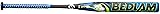 Worth | Bedlam Slowpitch Softball Bat | Phil Matte