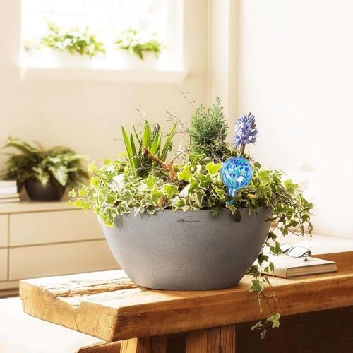Plant Watering Globes Set of 6 - Small Glass Self Watering Globes for Indoor & Outdoor Plants - Multicolor Passive Watering Devices for Short Term Soil Moisture Support Bulbs