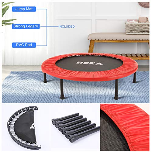 HEKA Mini Trampoline for Adults, Fitness Rebounder with Safety Pad, Exercise Rebounder Indoor