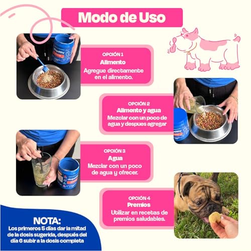 Dogelthy Gastro Aid. Pre + Probioticos con +3 Billones de UFC x Scoop. Suplemento para Perros. Complemento para Croquetas o Dieta Barf de 270g (Cerdo)