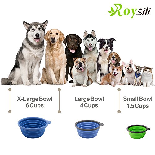 Roysili Extra Large Silicone Collapsible Dog Bowl Water Bowl (7'' Dia
