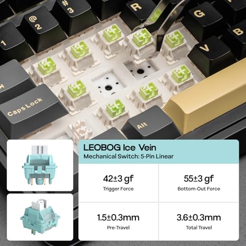 EPOMAKER X Aula EA75 MAX Wireless Gaming Keyboard with Screen & Knob, 5000mAh, Hot-Swap, Lubed Switches, RGB Backlit, Creamy Gasket, 75% Mechanical Keyboard (Black, Ice Vein Switch)