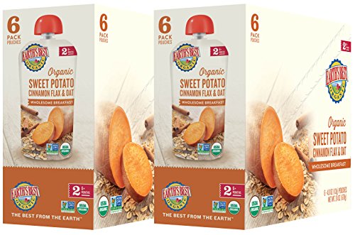 Earth's Best Organic Stage 2 Baby Food, Sweet Potato Cinnamon Breakfast, 4 oz. Pouch (Pack of 12) - Thumbnail 6