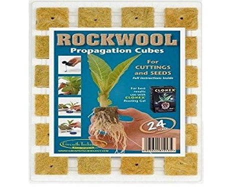 24 ROCKWOOL Propagation Cubes