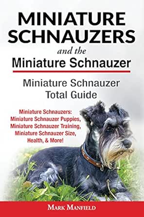 giant schnauzer buy