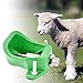 Sheep Pig Automatic Water Bowl, Livestock Watering System Tool Farm New Model Drinking Fountains for Cow Goat Calves Cattle Pig Dog Pigletsthumb 3