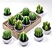 Cactus Tealight Candles Handmade Delicate Succulent Tea Light For Home Birthday Party Wedding Decor 6 Pcs