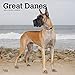 Great Danes 2020 12 x 12 Inch Monthly Square Wall Calendar, Animals Dog Breeds by 