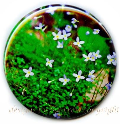 Flat Art Purse Pocket Mirror - Original Photo Image From Wild Flower Collection "Bluettes" By Nathan Baerreis - Velour Bag Included 2 1/4 Inch