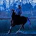 Horse Highlights All American Saddles LED Horse Tail Lights - USB Rechargeable - Best High Visibility Tack for Horseback Riding - Adjustable, Sturdy High Visibility Equestrian Safety Gear