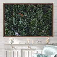 Framed Canvas Wall Art Greenlands Aerial Dark Farmhouse/Country Green Nature Photography Realism Relax/Calm - 16x24 inches