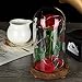 YSBER Artificial Flower Beauty & The Beast Colorful Rose and LED Light in Glass Dome on a Wooden Base for Lover, Mother, Girlfriend. (Warm White Light Rose Shade)
