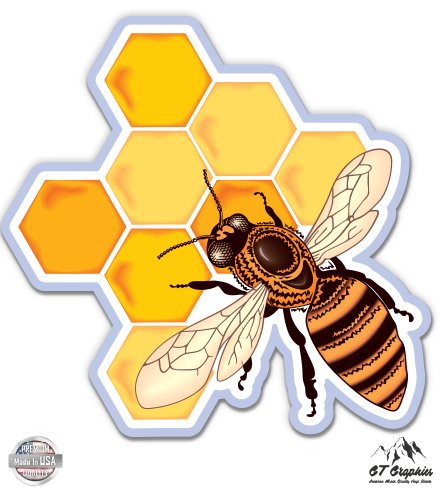 Honey Bee Honey Comb - 3