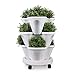 T4U Stackable Vertical Planter Set with Rolling Plant Caddy – 6 Tier Garden Tower Ideal for Growing Strawberries, Herbs, Vegetables, Flowers, Indoor/Outdoor Porch Decor (6 Stacking Pots+Plant Dolly)thumb 3