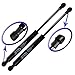 Wisconsin Auto Supply Two 2 Rear Trunk Lid Gas Charged Lift Supports for 00-11 Ford Focus 4-Door Sedan With Spoiler WGS-122-2