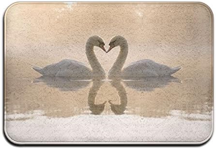 Loving Swans Indoor/Outdoor Natural Coral Fleece Rubber Non Slip Backing Entry Way Doormat For Patio,Front Door,All Weather Exterior Doors,40X60cm