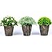 The Bloom Times Fake Plant for Bathroom/Home Decor, Small Artificial Faux Greenery for House Decorations (Potted Plants) Set of 3Pcs