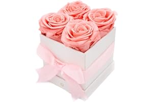 AROMEO 4 Blush Pink Roses | A Gift That Lasts | Preserved Fresh Flowers for Delivery Prime | Roses for Her, Mom, Girlfriend, Wife, Anniversary, Birthday, Wedding | Forever Roses Fresh Cut