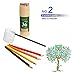 iArtker Adults and Kids Art Supplies Trilateral Long Colored Pencils with Sharpener (set of 36)