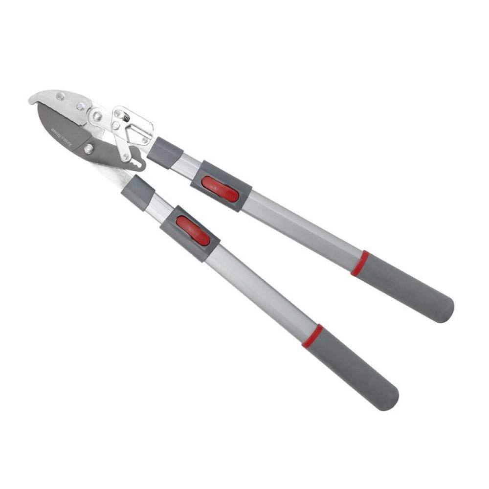 Kent and Stowe Telescopic Ratchet Anvil Loppers