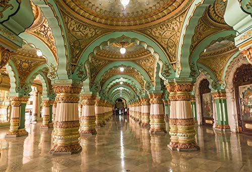 LFEEY 5x3ft Mysore Palace Backdrop Famous Scenic Spots in India Photography Background Outstanding Designs Historic Building Indoor Decors Wallpaper Photo Studio