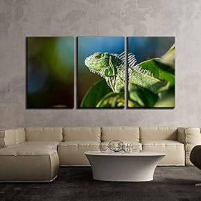 3 Piece Canvas Wall Art - Closeup of Flying Dragon - Modern Home Art Stretched and Framed Ready to Hang - 16"x24"x3 Panels