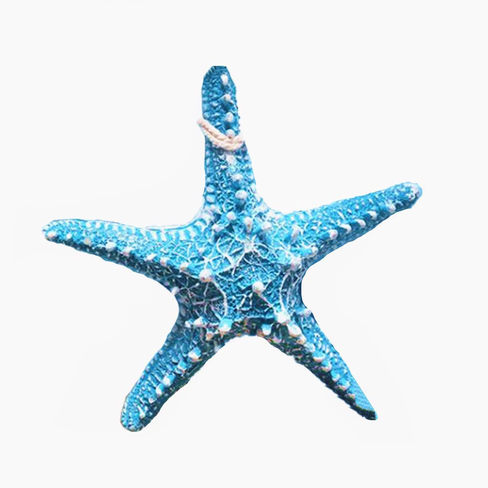 RAYLINE-DO RayLineDo Creative Mediterranean Style Design Beach Starfish Resin Five-Pointed Star in Light Blue Home Restaurant Kindergarten Wall Hanging Decoration