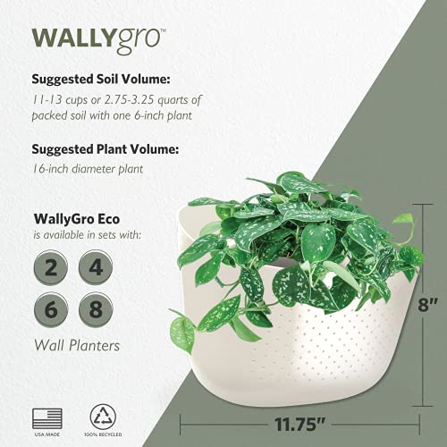 WallyGro Eco Wall Planter, Create a Plant Wall with Hanging Planters
