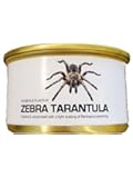 Edible Dehydrated Zebra Tarantula