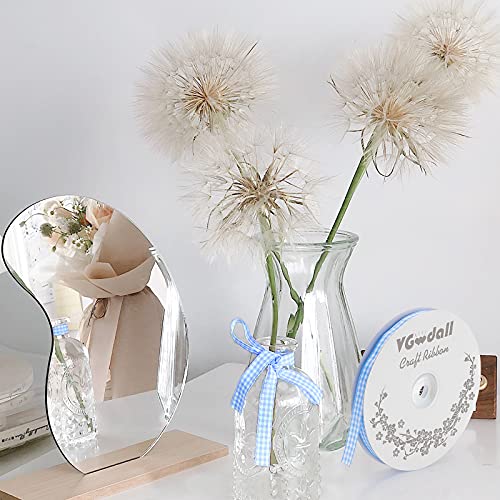 VGoodall Lake Blue Gingham Ribbon, 3/8 x 50Yd Picnic Craft Ribbon Lake Blue Ribbons for Hair Accessories Craft and Christmas Gift Wrapping