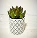 Pretty Home Potted Artificial Succulent Plants, Set of 3, Tile Pattern Pots