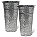 Rustic Metal 13 Inch Galvanized Flower Vase - Set of 2 - French Bucket - Farmhouse Style - Perfect for Fresh and Dried Floral Arrangements for Home and Weddings (Pewter Gray)