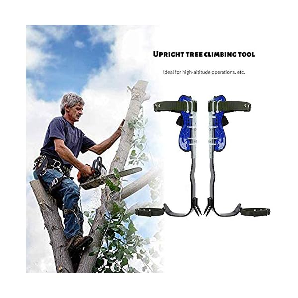 MeTikTok Baum Steigeisen Spike Set, Klettern Baumsteigeisen Artefakt Baumklettern Ausrüstung Set Klettern Bäume… – Bild 4