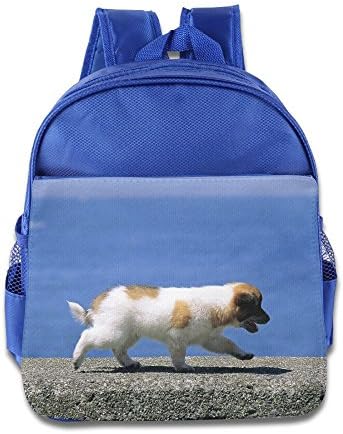OUSIAI Dog Kids School Bags Backpacks For Kindergarten Girls Boys Ages 2-6 Blue