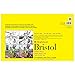 Strathmore 346-1 Paper 300 Series Sequential Art Bristol, Smooth, 11 x 17 Inches, White 24 Sheets primary