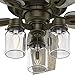 Hunter Fan 52in Regal Bronze Ceiling Fan includes Three-light Fitter with Clear Glass, 5 Blade (Renewed)