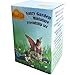 Mood Lab Fairy Garden Figurines Set - Miniature Fairy Accessories Friendship Set of 2 pcs - Garden Kit for Outdoor or House Decor