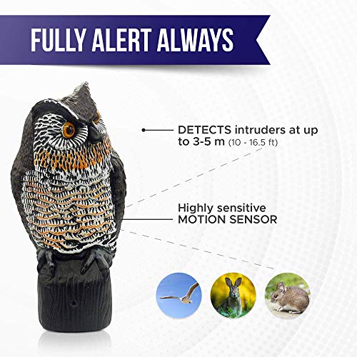 Lijo Solar Owl Animal Scarecrow Motion Activated Owl Decoy with Light