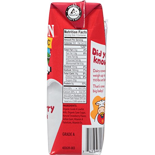 2 Horizon+Organic+Lowfat+Strawberry+Flavored