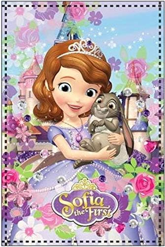Amazon 0452 ディズニープリンセス ちいさなプリンセス ソフィア フリース ブランケット 毛布 ひざ掛け 100cm X 150cm Disney Princess Sofia The First Fleece Blanket 並行輸入品 ブランケット 毛布 オンライン通販