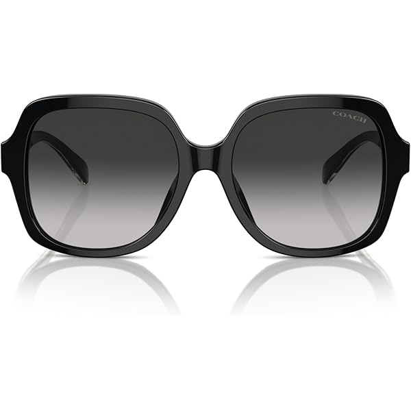 Amazon.com: COACH Sunglasses HC 8414 BD 50023C Cw428 Black  display picture 3