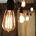Heavy Duty Vintage Bushwick Filament 10-Bulb Connectable String Lights