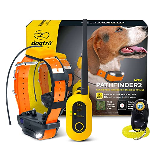 Dogtra Pathfinder 2 GPS