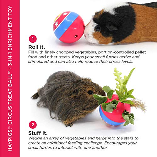 HAYPIGS 3in1 Circus Themed Guinea Pig Treat Ball Guinea Pig Toys